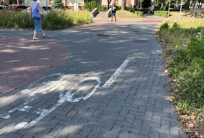 Nowatorski projekt w Świdniku. Seniorzy jeżdżą rikszą po mieście