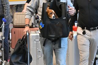 Krzysztof Gojdź przyleciał do Polski