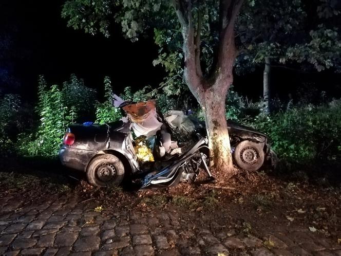 Tragiczny wypadek pod Braniewem. Audi wbiło się w drzewo. Nie żyje 19-latek [ZDJĘCIA]