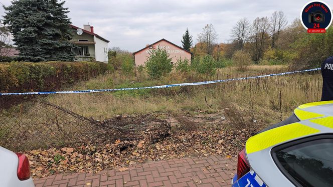 Zabójstwo w Kampinosie