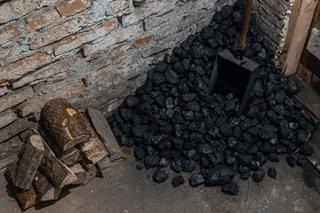Czas na oszczędzanie węgla w polskich domach. Zwiększy się ubóstwo energetyczne