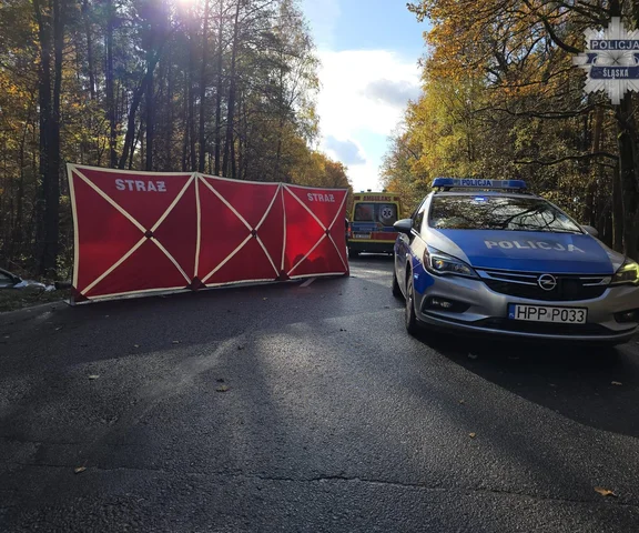 Poważny wypadek w Kobiórze. Lądował LPR