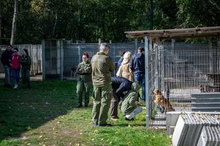 24 razy szczęście. W bełchatowskim schronisku padł rekord!