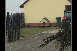 Najlepsze memy internautów o Tarnowie