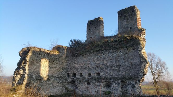 Ruiny zamku w Mokrsku Górnym