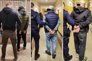 Szajka włamywaczy z Gruzji w rękach policji. Otwierali samochody specjalnym urządzeniem