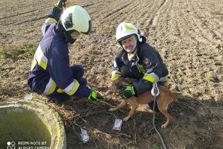 Strażacy OSP z Czempinia uratowali psa. Zwierzak wpadł do głębokiej studni