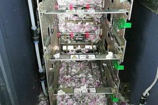 Szczury zjadły pieniądze