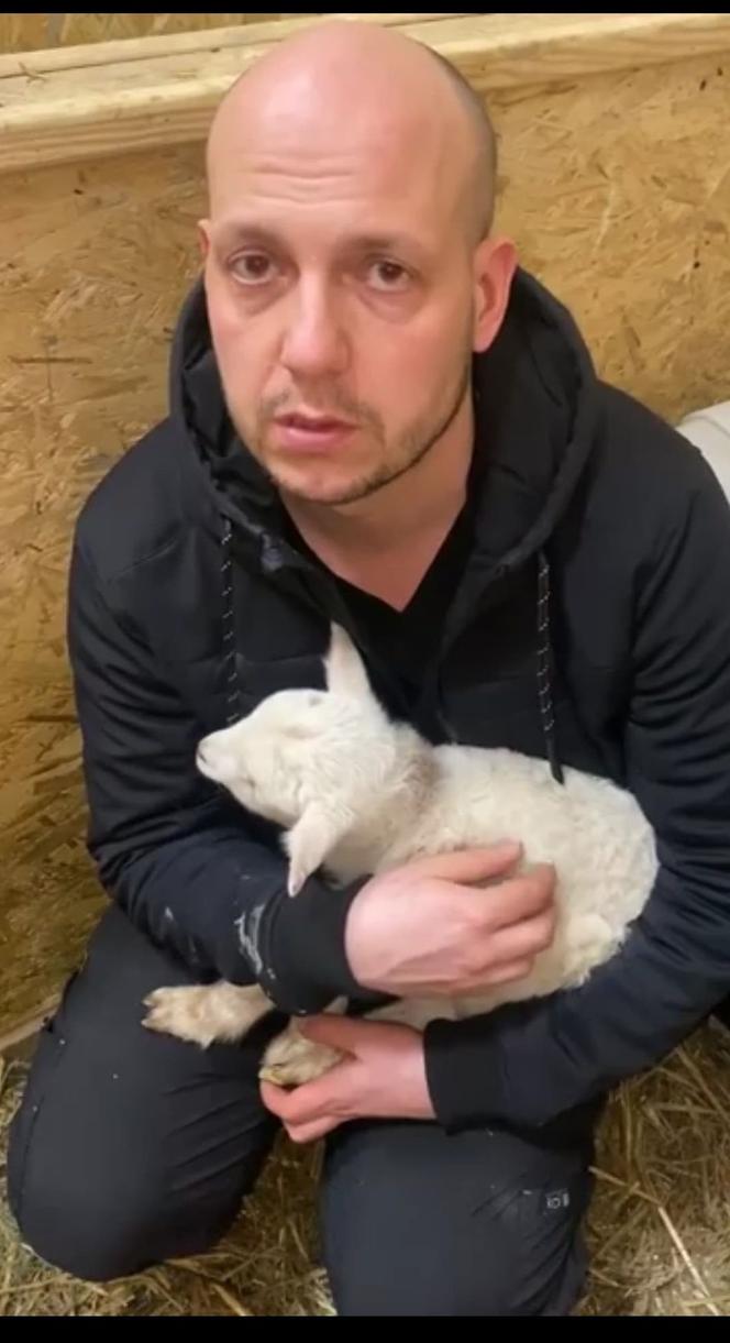 Zostałem mamą Henia