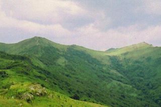 Bukowe Berdo w Bieszczadach