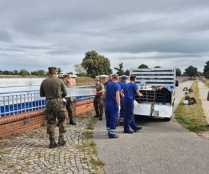 We Wrocławiu ćwiczą na wypadek powodzi. Scenariusze mrożą krew w żyłach!