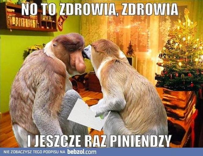 Memy bożonarodzeniowe 2025: Najlepsze świąteczne obrazki, które poprawią Ci humor!