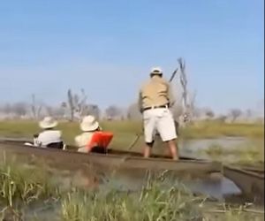 Horror na wakacjach. Zaatakowały ich słonie, wpadli do rzeki pełnej krokodyli