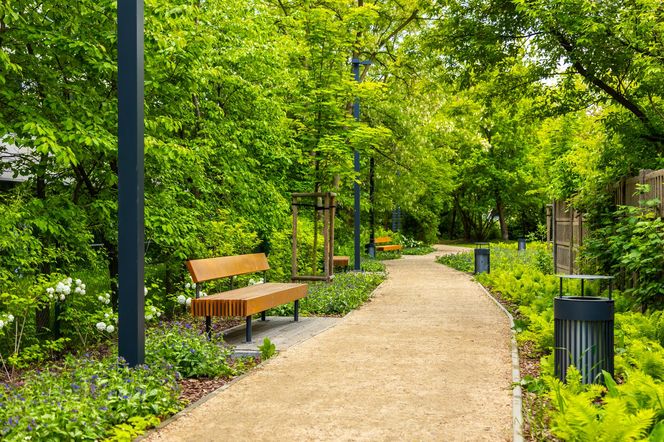 Park linearny przy ul. Suwak w Warszawie
