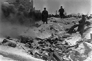 Bitwa pod Stalingradem