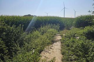 Łańcut. 24-letnia Joanna nie żyje [GALERIA]