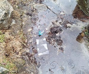 Morskie Oko zaśmiecone jak nigdy. To sprawka turystów. TPN opublikował zdjęcia.