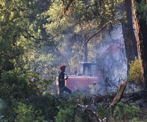 Podpalił Turcję, bo chciał iść do więzienia! Podpalacz kurortów złapany