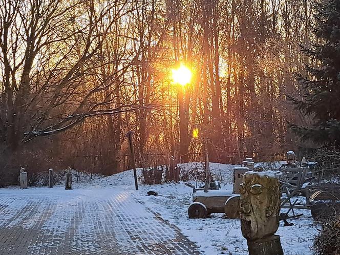 Bydgoszczanie słabo znają ten ogród, a jest wyjątkowy w skali kraju. Chodźcie na drzwi otwarte! [ZDJĘCIA]