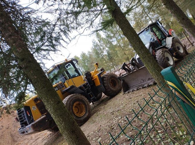 Nutrie w Rybniku są już odławiane