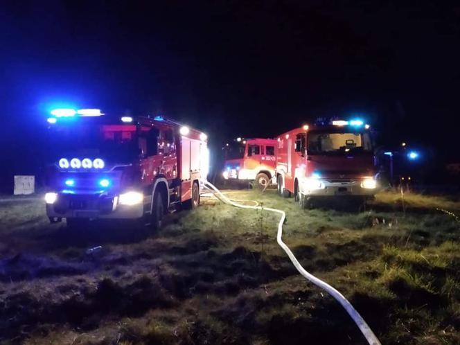 Pożar domków letniskowych w podbydgoskim Borównie! [ZDJĘCIA]