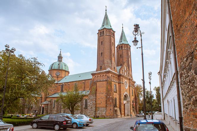 Płock. Pobrali PRÓBKI KOŚCI! Dowiemy się, jak wyglądali członkowie dynastii Piastów!