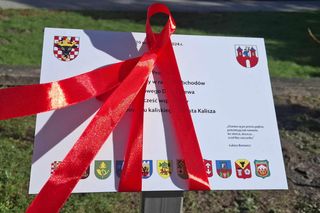 Kalisz. Przed Starostwem Powiatowym powstała alejka magnoliowa 