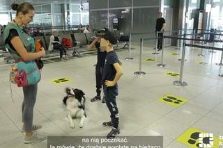 Jedyne takie psy w Europie. Czworonogi z lotniska w Krakowie-Balicach pomagają pasażerom