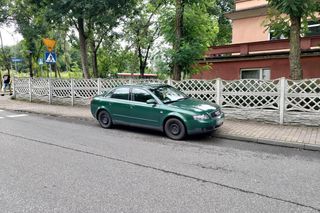 Wyleciał mi przed maskę