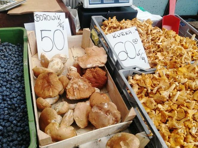 Ile kosztują grzyby w Krakowie? Ceny na targowiskach przyprawiają o zawrót głowy