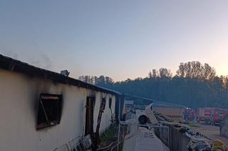 Kizielany. Tragiczny pożar obory. Spłonęło ponad 100 sztuk bydła