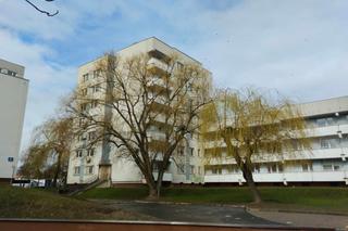 Osiedle Zatoka czerwonych świń w Wilanowie ma zostać zburzone przez PHN