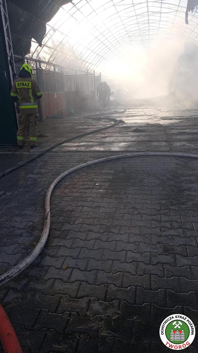 Pożar na terenie ośrodka jeździeckiego "Lando"