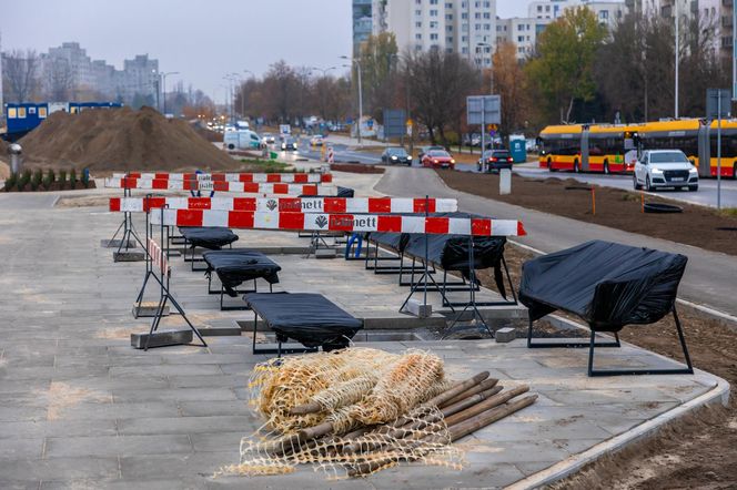 Pierwsze drzewa w parku nad obwodnicą na Ursynowie