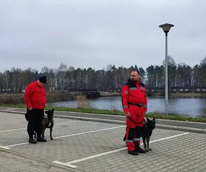 Pierwsze takie psy w PCK. Egzamin zdały w Ostrowie