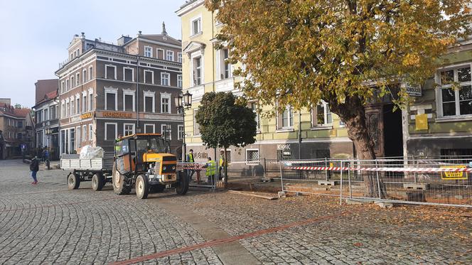 Mniej betonu, więcej zieleni