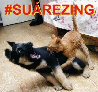 Luis Suarez, Suarezing