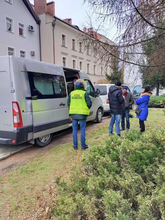 Nielegalni pracownicy w zakładzie na Dolnym Śląsku