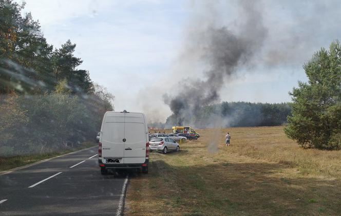 Strażacy szybko ugasili ogień.