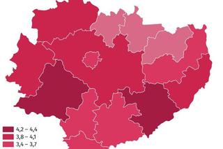 Świętokrzyskie. Małżeństwa w powiatach