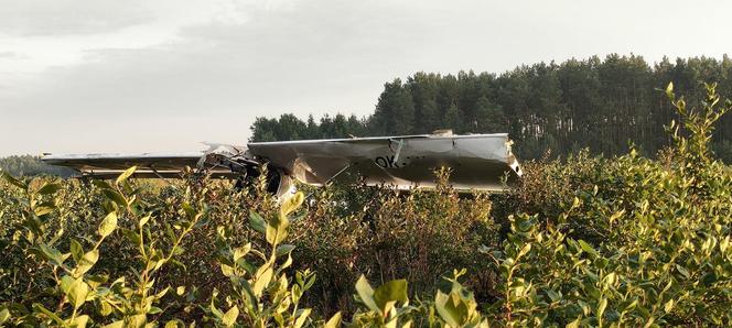 Awionetka spadła na pole borówek. Pilot nie żyje