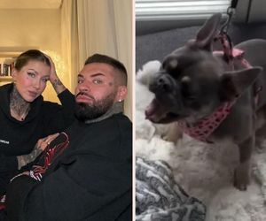 Deynn i Majewski podjęli trudną decyzję. Najważniejszy jest Romeo