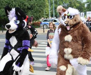 Marsz futrzaków w Lublinie. Tak wyglądał I Lubelski Fursuitwalk