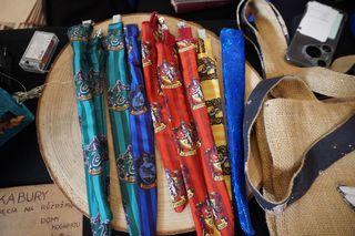 Zlot miłośników Harry'ego Pottera 