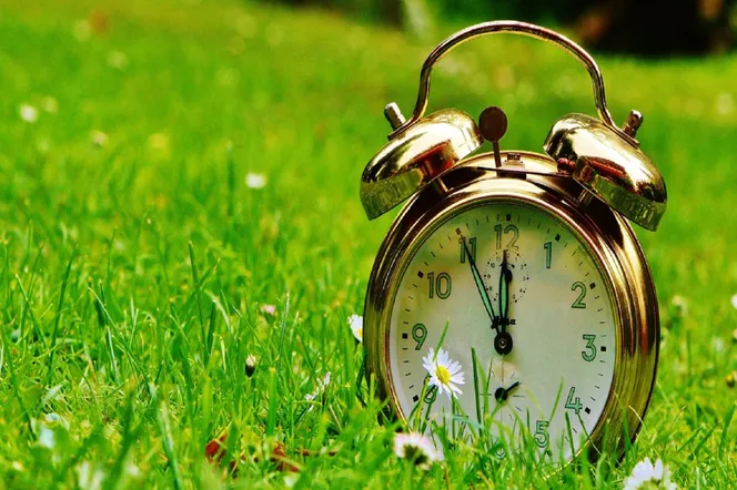 Śpiochy z tej informacji nie będą zadowolone. Tik, tak, tik...