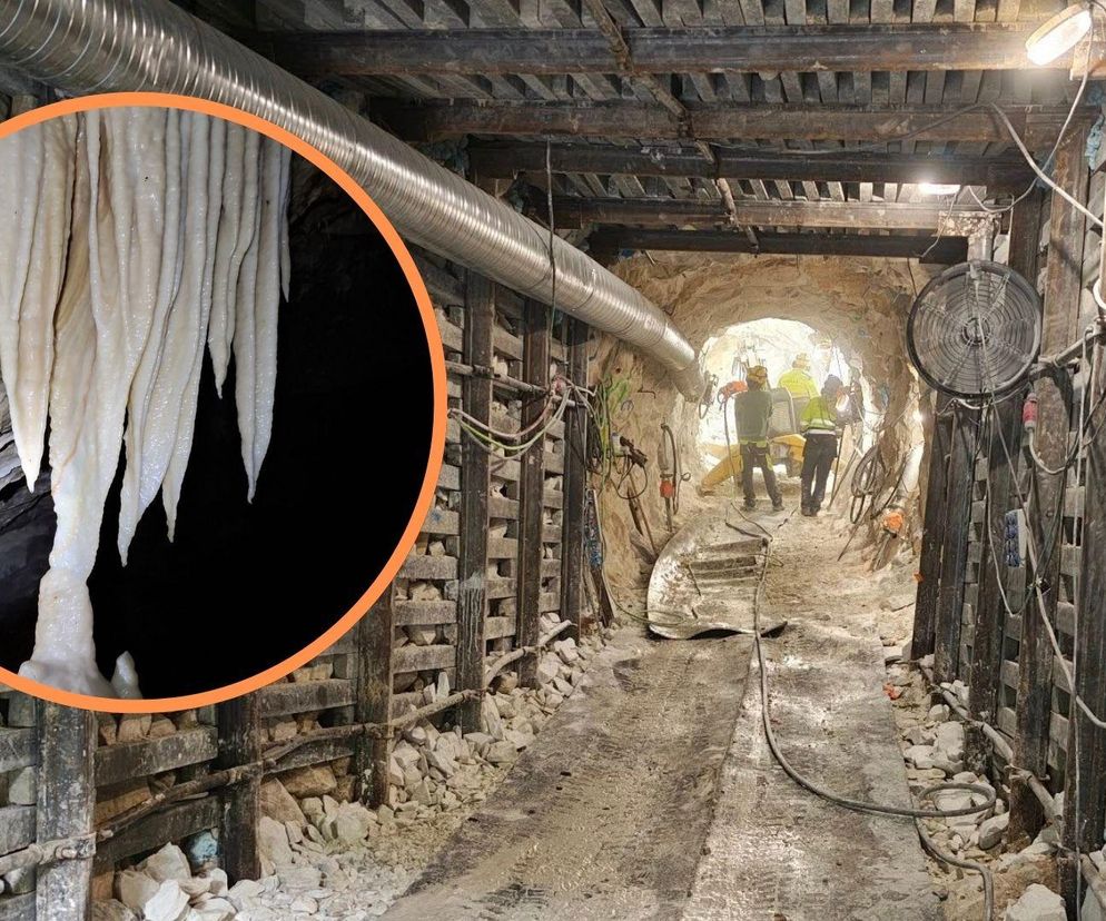 To będzie hit turystyczny. Nowa trasa w Jaskini Niedźwiedziej