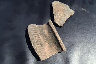 Odkrycie w podlubelskiej Turce. Natrafiono na ślady po średniowiecznej osadzie i pozostałości kultury łużyckiej