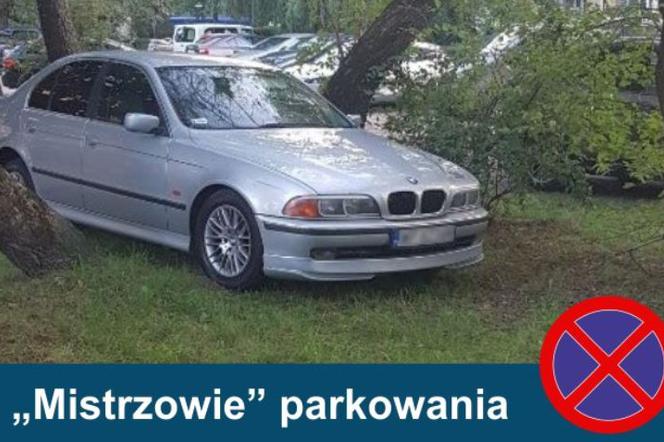Mistrzowie Parkowania. Zobacz najgorzej zaparkowane samochody w Warszawie