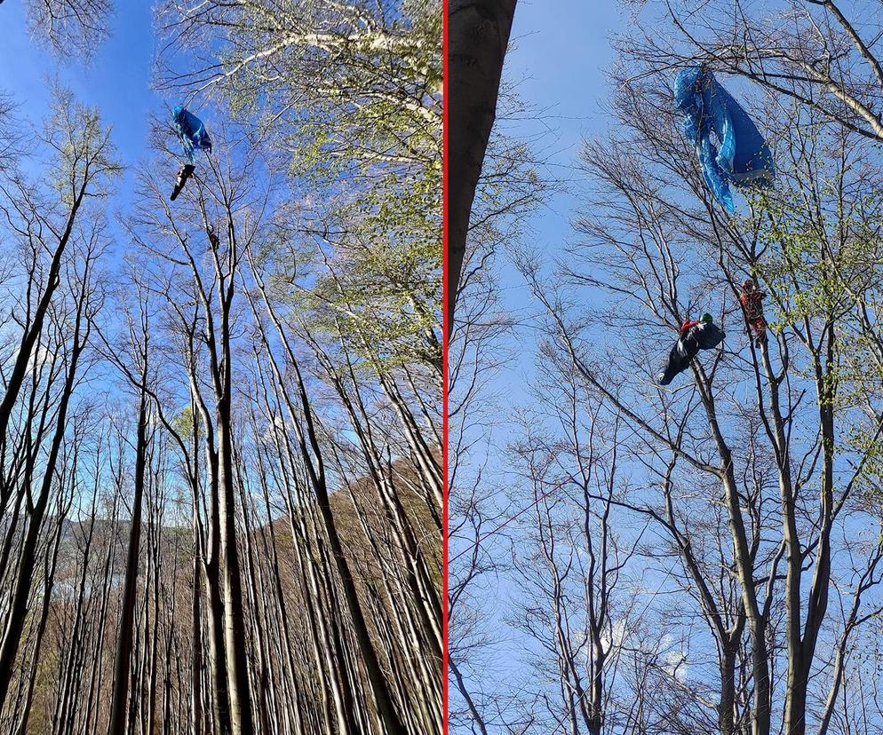 Paralotniarka wylądowała na drzewie. Kobieta przeżyła chwile grozy 25 metrów nad ziemią 