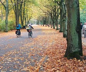 Przygotowania do 1 listopada na Cmentarzu Centralnym w Szczecinie